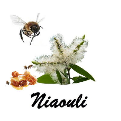 Niaouli honey